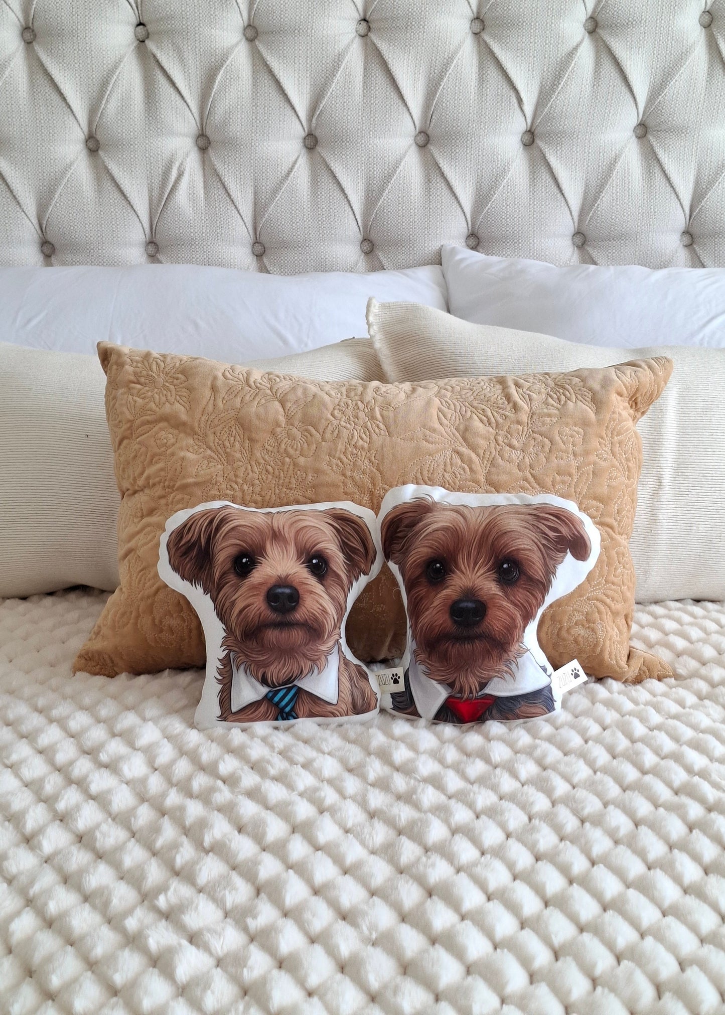 Almohada pachoncita