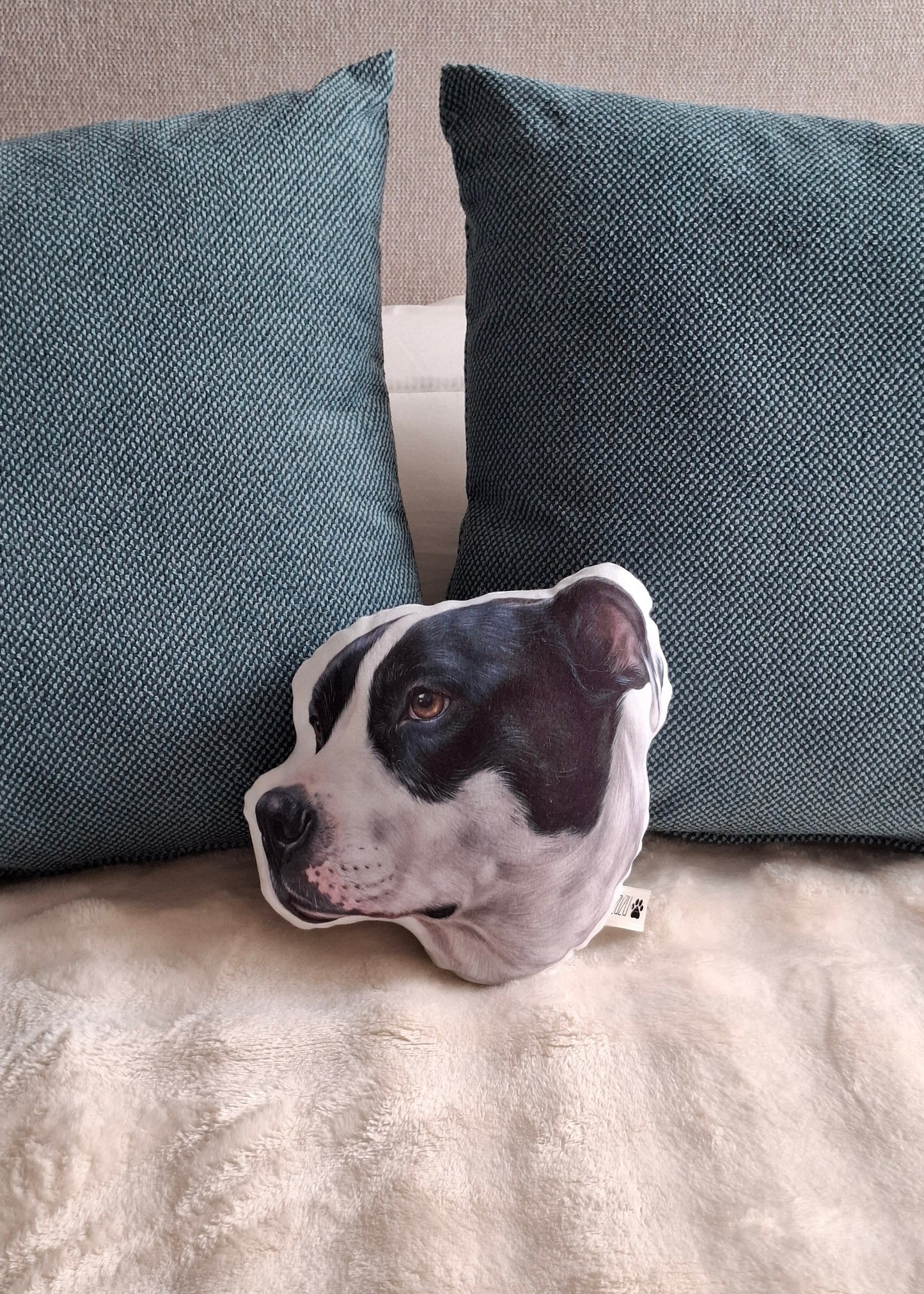 Almohada pachoncita