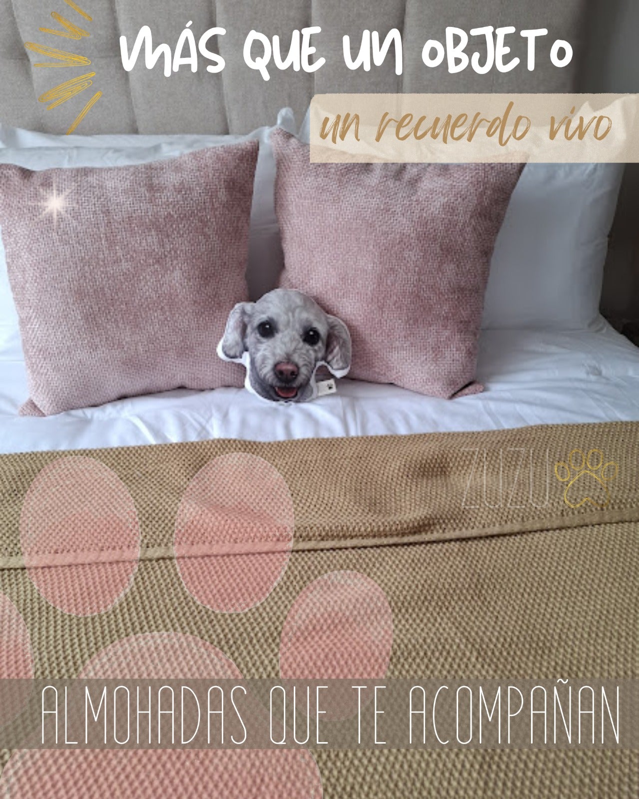 Almohada pachoncita